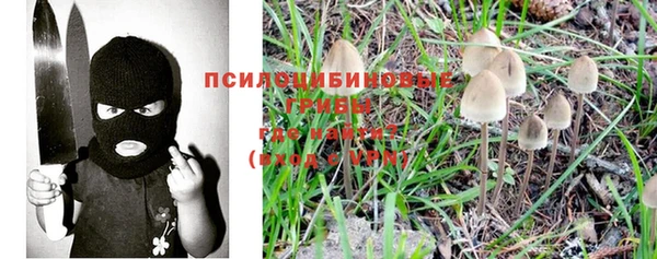 прущий лед Елабуга