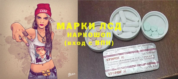 apvp Ельня