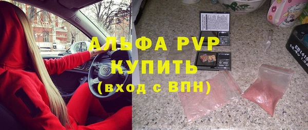 apvp Ельня