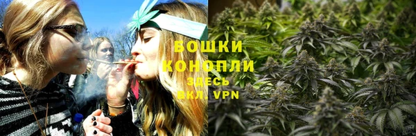apvp Ельня
