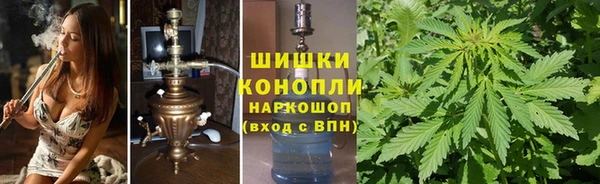 apvp Ельня