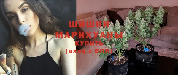 apvp Ельня